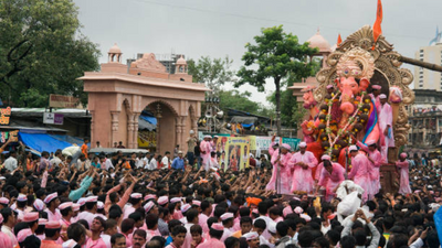 How to protect your eyes during Ganesh Visarjan