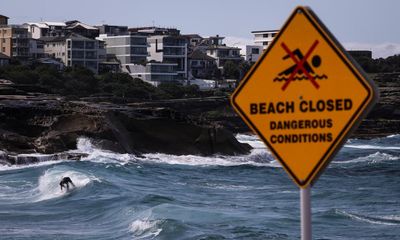 Woman killed by falling tree branch in Sydney as wild winds hit NSW coast