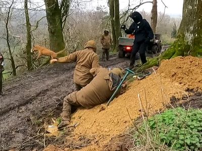 Hundreds of foxes and deer chased and killed in latest hunting season as illegal activity rife, report says