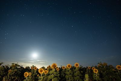 A Rare Celestial Phenomenon Will Be Visible On This Week’s Super Harvest Moon