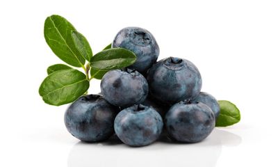 Purple patch for British blueberries as sales boom