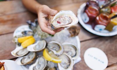 Oysters belong in the sea, not on our plates