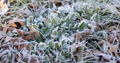 What spring? Winter blast chills Canberra as temp drops to minus 7