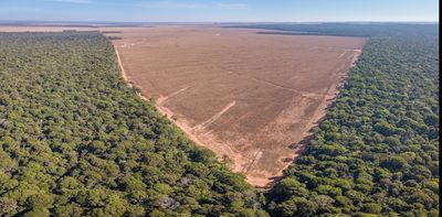 National parks and other protected areas often fail to conserve Earth’s forests, research finds