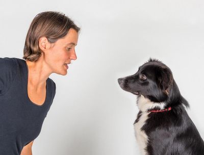 Dog and human brains found to sync up when they gaze into each other’s eyes