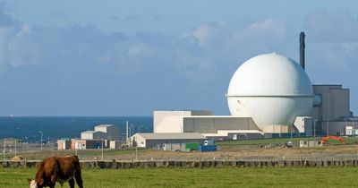 No case at all for nuclear power in Scotland, group of international experts say