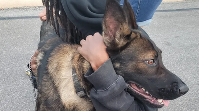 A Texas homeless shelter told teen his dog was not allowed. He chose to stay with the dog and sleep outside