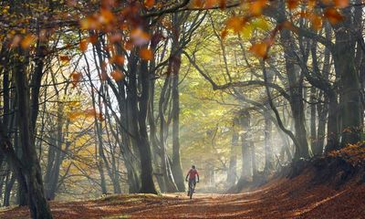 Share a tip on your favourite forest escapes in the UK