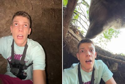 Man Enters Bear Den, Films Terrifying Face-To-Face Encounter When It Comes Home