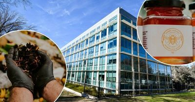 Ice cream, honey, and worm farms: The perks of some APS offices