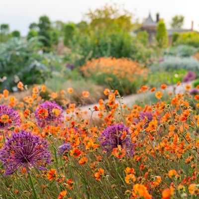 How to enjoy free entry to over 220 gardens and benefit from expert, personalised garden advice from the RHS