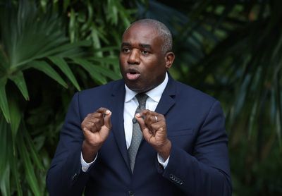 David Lammy says climate change is more urgent threat than terrorism or Putin