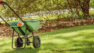 How often to fertilize a lawn – 3 key factors that influence the number of feeds your grass needs a year