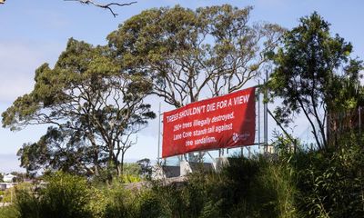 The punishment for felling Australia’s foreshore trees is a mere pittance against developers’ obscene profits