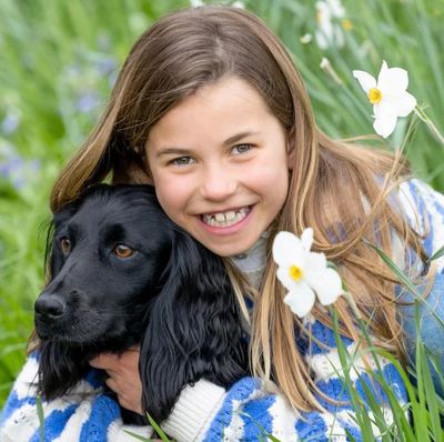 All About Kate Middleton and Prince William’s Rarely-Seen Cocker Spaniel, Orla