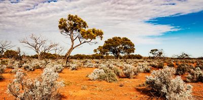 Australia desperately needs a strong federal environmental protection agency. Our chances aren’t looking good