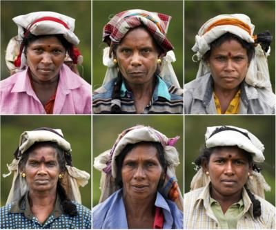 Sri Lanka's Plantation Workers Struggle For Promised Change