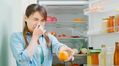 Your smelly refrigerator could make your whole kitchen stink — 9 ways to fix it