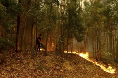 Portugal enfrenta incêndios florestais mortais em meio a condições climáticas extremas…