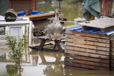 Central Europe Battles Severe Flooding After Record Rainfall