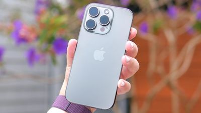 Apple iPhone 16 Pro review: Do you need the Pro Max?