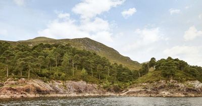 'Spectacular' Highland estate spanning more than 4000 acres up for sale