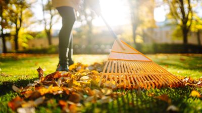 Fall gardening checklist – 12 ways to get your yard ready for colder months