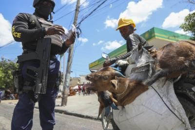 Haiti Forms Electoral Council For General Elections Preparation