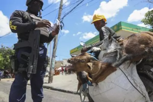 Haiti Forms Electoral Council For General Elections Preparation