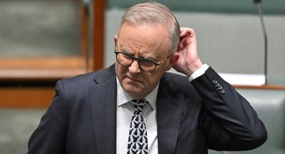 Albo’s reckless and draconian misinformation legislation completely undermines itself