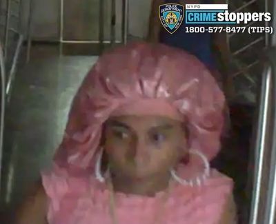 Woman Wearing 'Pink Shower Cap' Steals NYC Subway Train, Takes It for a Joyride, Crashes It and Flees: Police