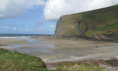 Country diary: A coastal walk of rough surf and billowing tamarisk