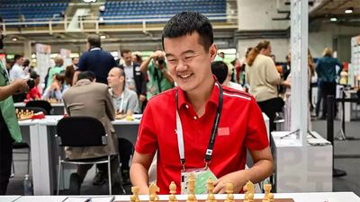 In Ding decision, larger picture considered