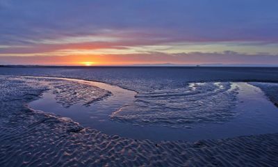 ‘Vast’ carbon sink of mud on seabed needs more protection, study shows