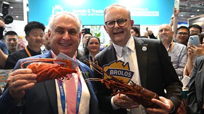 China pulls handbrake on Australian lobster imports