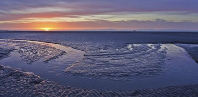 How a new map of the UK’s blue carbon habitats could change how oceans are protected