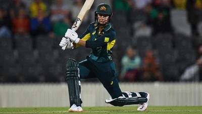 Litchfield stars in Australia's T20 win over NZ