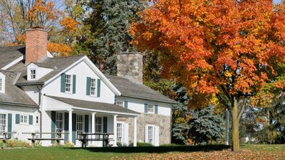 The 6 outdoor fall cleaning tasks for your property you should never skip