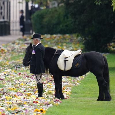 The Touching Detail You Might Have Missed From Queen Elizabeth's Funeral