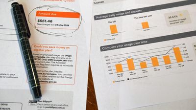 Nuclear power plan could cause energy price blowout