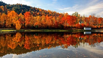 Weather experts predict vibrant fall foliage to dazzle across 20 US states