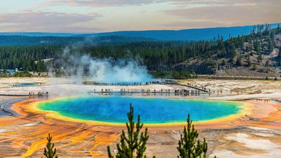 Woman is first to get injured from this at Yellowstone in 2024