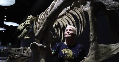 'Life found a way': where you can soon see dinosaurs in Newcastle