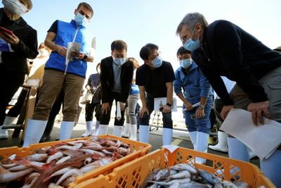 China To 'Gradually Resume' Seafood Imports From Japan After Fukushima Ban