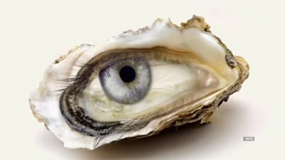 Optical illusion psychology test: What you see first can predict if you are lucky or have challenges to face in life