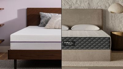 Purple vs Puffy Cloud:Which boxed mattress is right for your sleep?