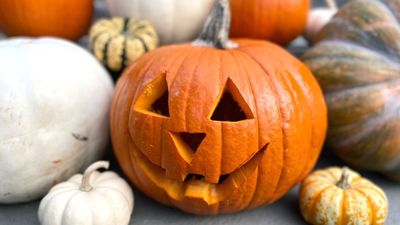 How to carve a pumpkin in 7 simple steps – and help it last longer