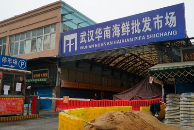 ‘Beyond reasonable doubt’ Covid pandemic originated at Wuhan market stall