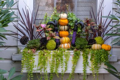 12 Halloween window decor ideas to get your house ready for spooky season