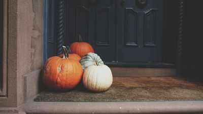 How to stop pumpkins from rotting on and off the vine, carved and uncarved – simple solutions to keep your gourds looking good